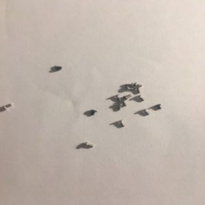 Screw set for Samsung Galaxy S6 edge G9250 G925